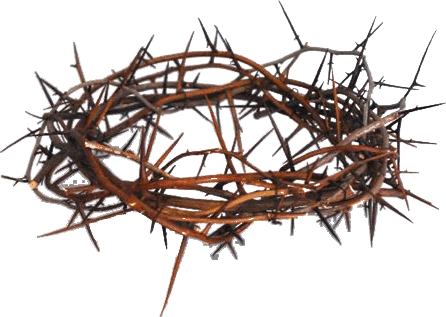 Crown of Thorns